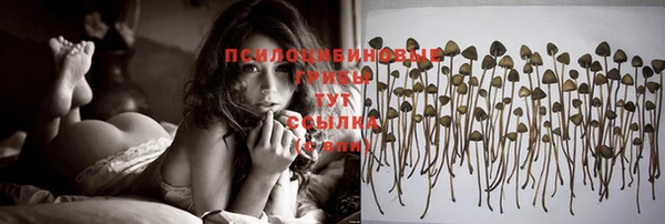 ешки Алексеевка
