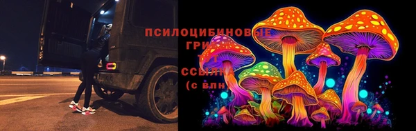 PSILOCYBIN Алзамай