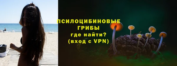 PSILOCYBIN Алзамай