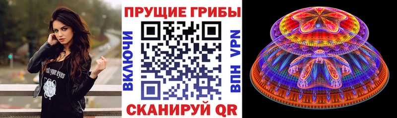 ОМГ ОМГ маркетплейс  Бавлы  Галлюциногенные грибы Psilocybine cubensis 